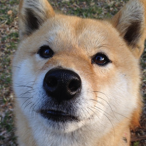 LCK联盟推动电竞运动员社会保障体系建设,职业电竞运动员年薪多少