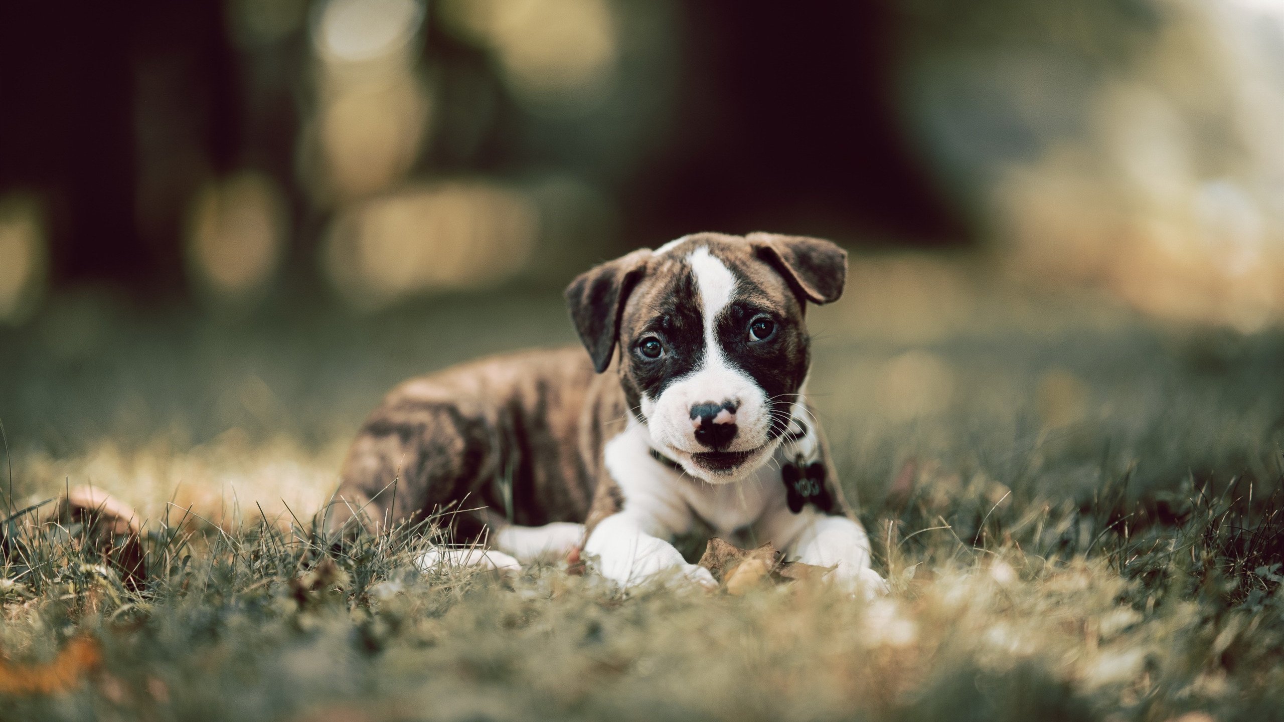 fb体育官网入口-东亚球队赢得国际比赛，给球迷带来惊喜，东亚足球队