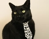 fb体育电竞-山东男篮惊险获胜，晋级夺冠，山东男篮2020一2021