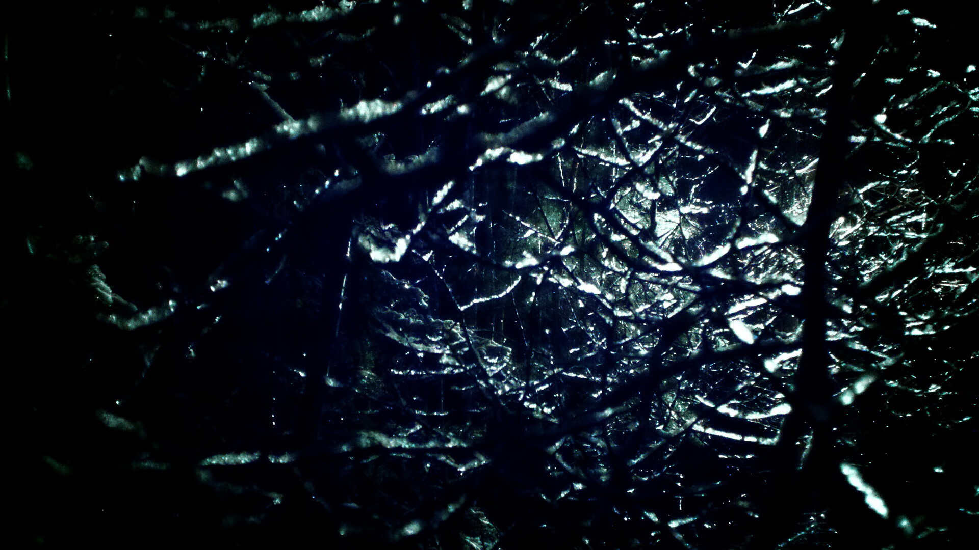 fb体育平台官网-是否应建立联盟历史文化展览馆，设立联盟 组织需要提供的条件