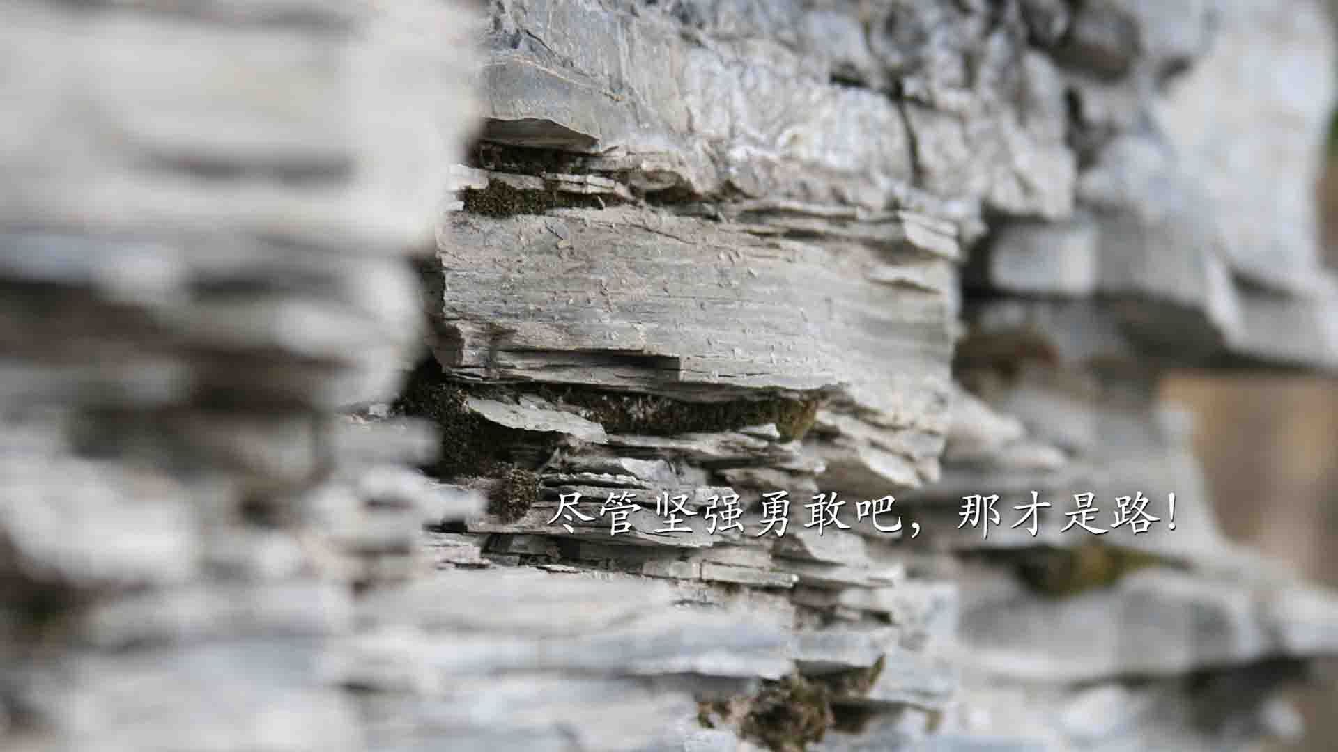 fb体育官网首页-欧洲篮球赛事进行到关键时刻，竞争激烈，欧洲篮球联赛比赛规则