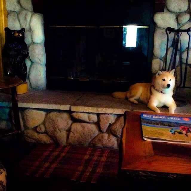 fb体育网页版-门兴格拉德巴赫攻防数据分析，门兴格拉德巴赫实力怎么样