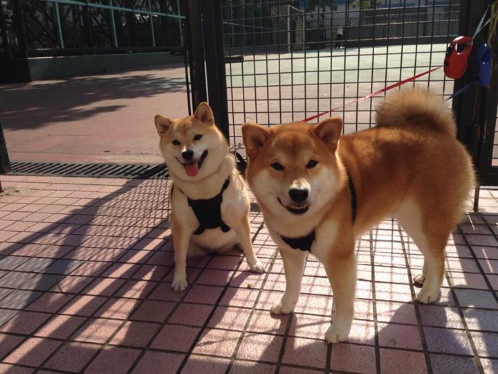 fb体育登录入口-“滚球运动：三叉湖赛场成新兴运动的竞技中心”