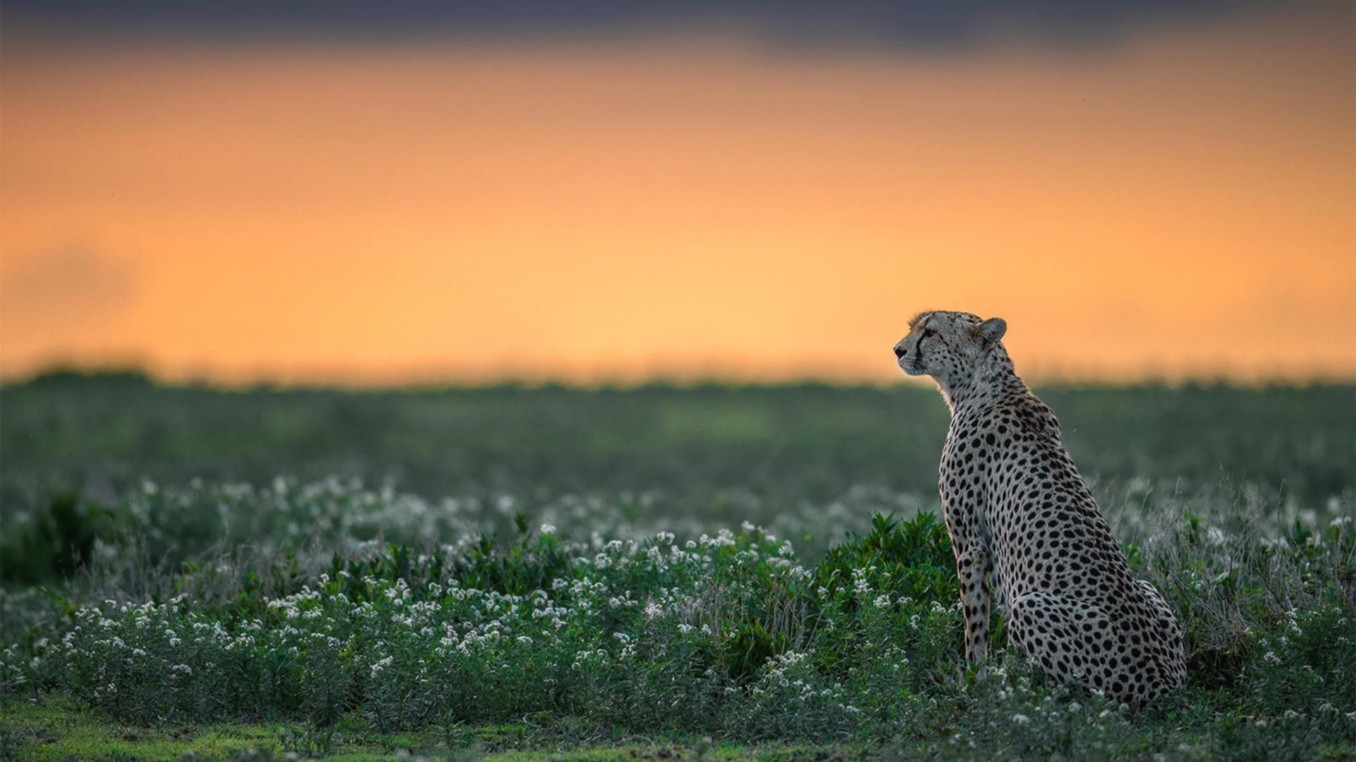 fb体育登录入口-中国三人女篮体能训练加强，中国三人女篮运动员