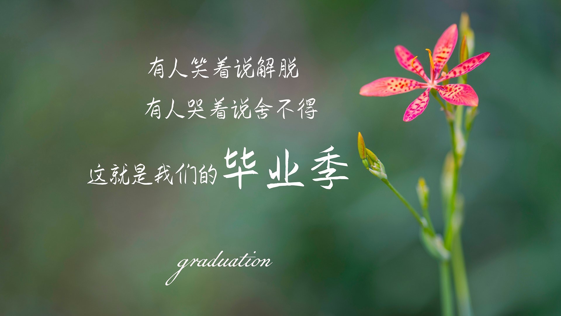 fb体育官网网页版-中国男篮年轻球员表现突出，中国男篮青年队员名单