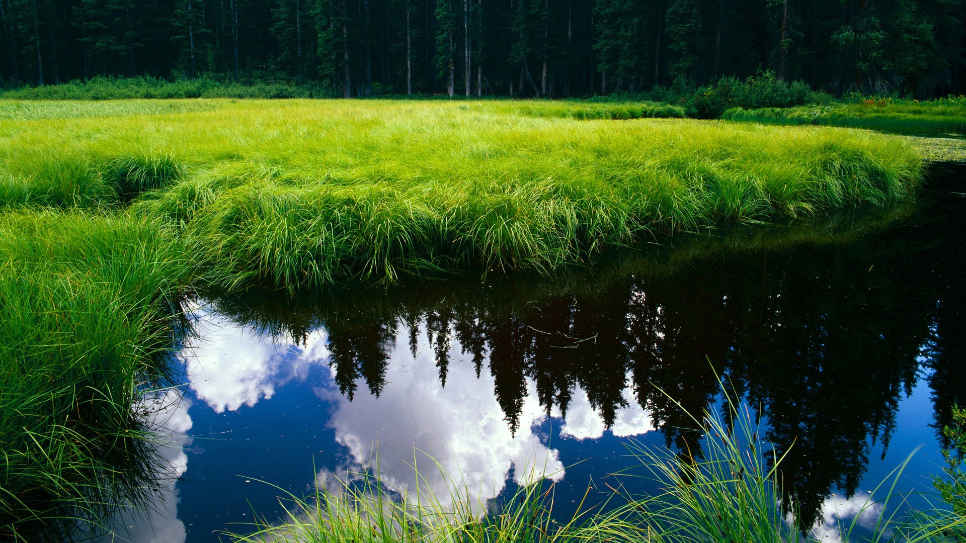 fb体育官网电脑版-世界杯震撼终极大战：战术布局中的巅峰对决，世界杯最经典比赛