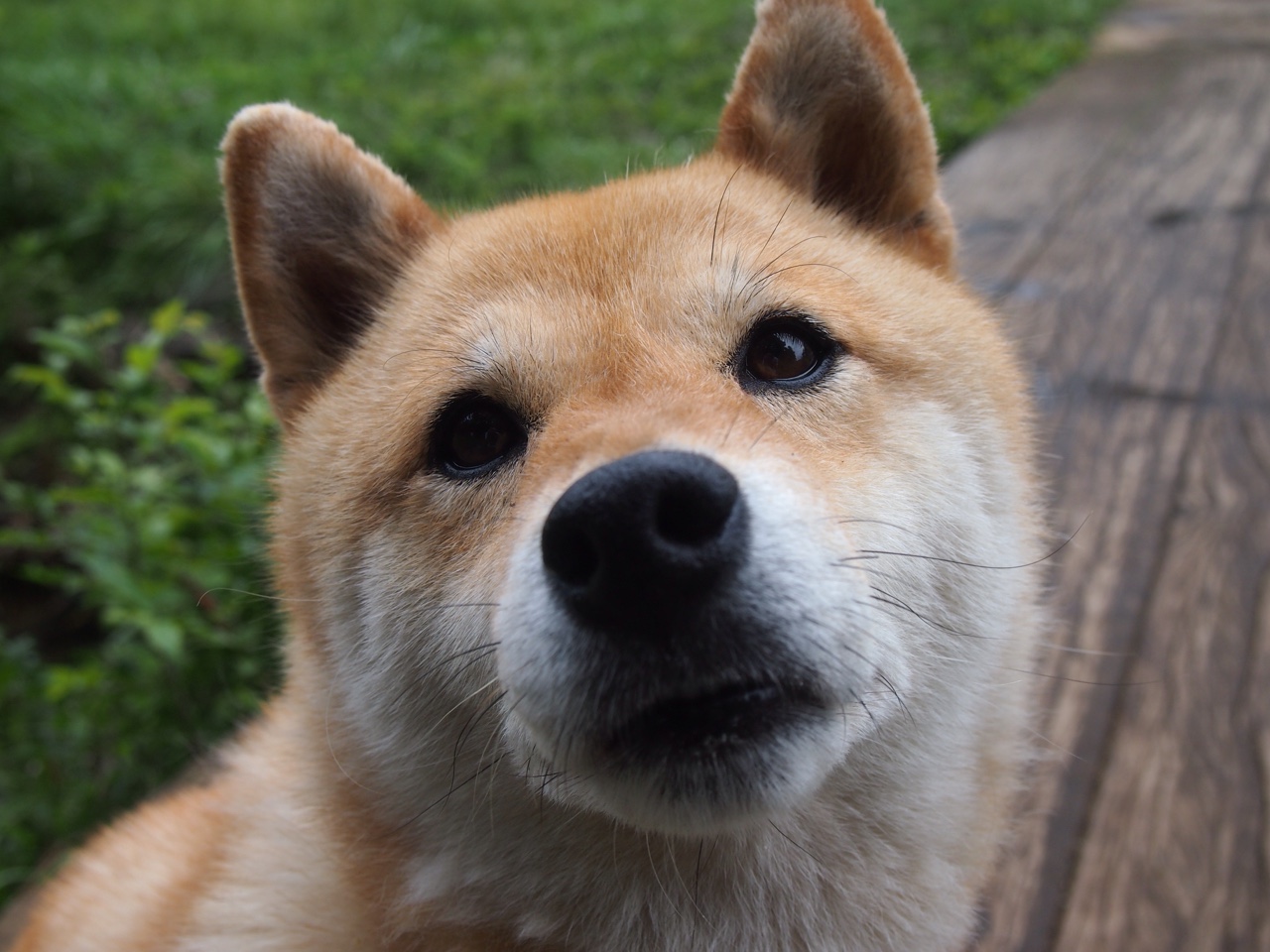 fb体育平台-体育创业项目展示青年创客积极参与，体育创新创业大赛优秀作品