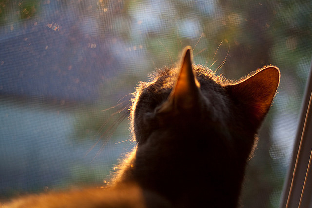 快攻反击节奏快，防守布局冷静，快攻防守人犯规