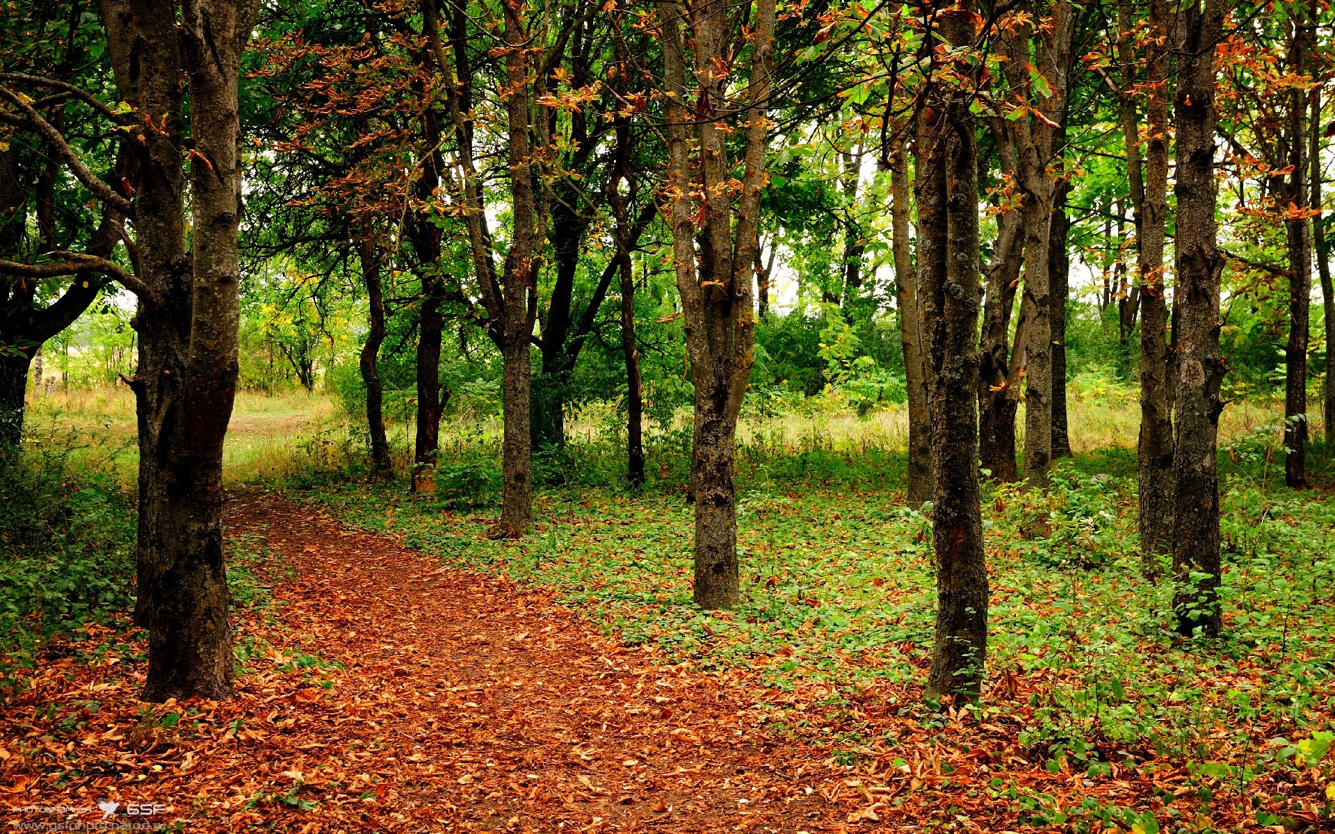 fb体育官网电脑版-莱谢恩·卡萨斯决赛发挥成大赢家，莱恩卡斯滕