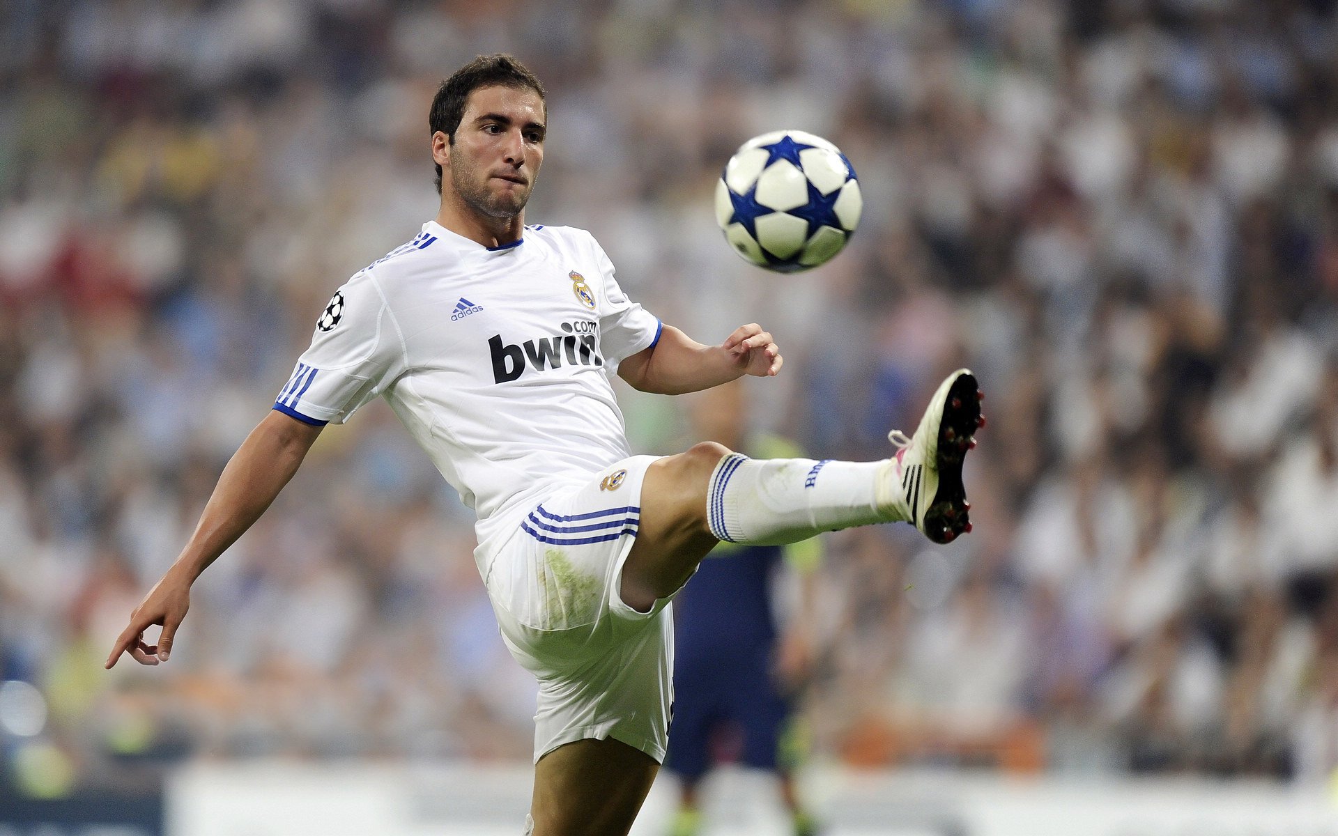 fb体育中国官网-德甲激烈，教练强调战术应用，德甲球员撞教练